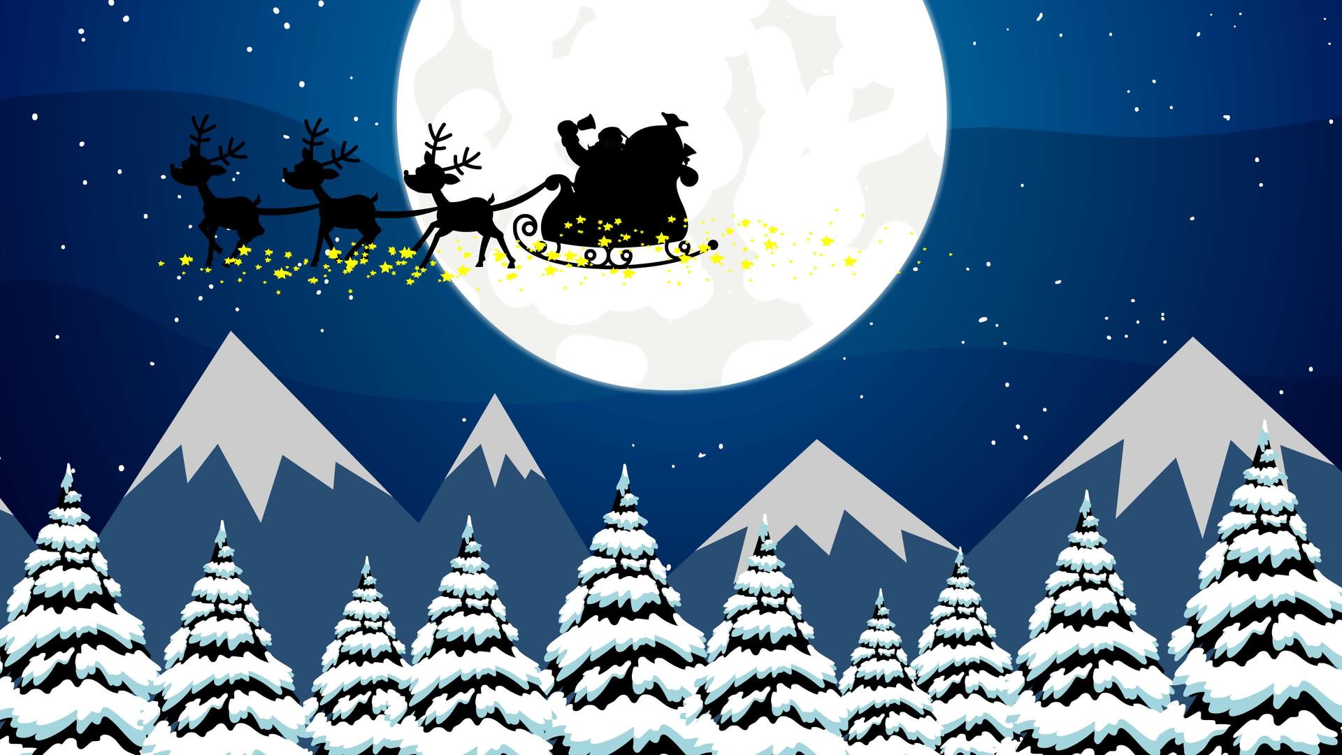 驯鹿在圣诞夜飞行视频的预览图