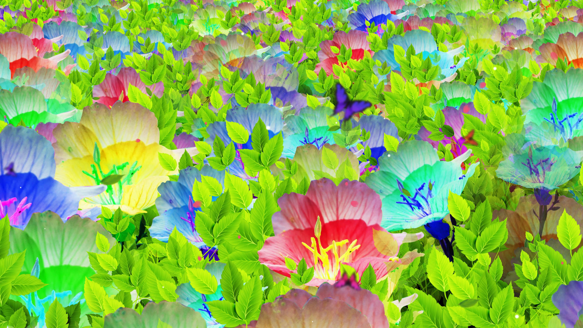 4K唯美的鲜花背景素材视频的预览图