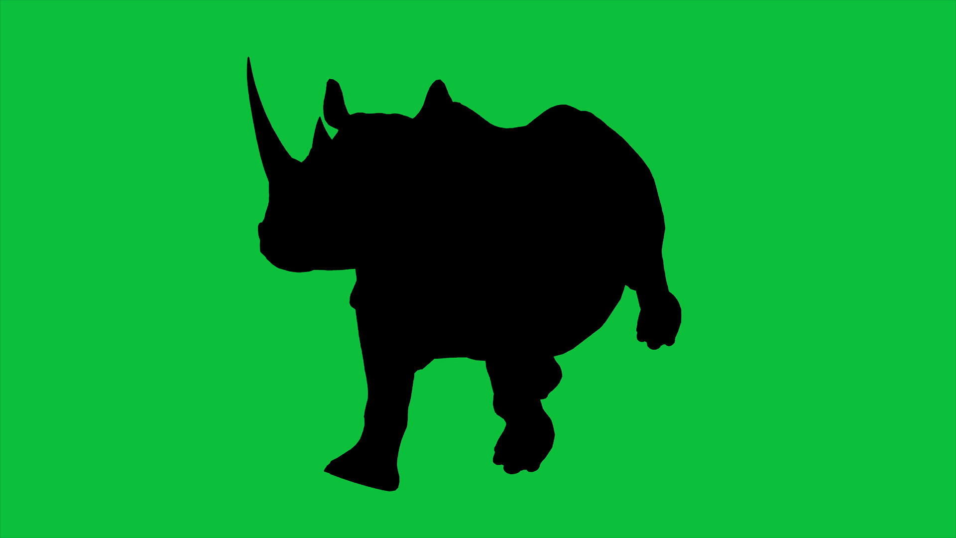 4k动画犀牛在绿屏上行走视频的预览图