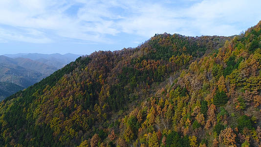 山区秋天航拍视频的预览图
