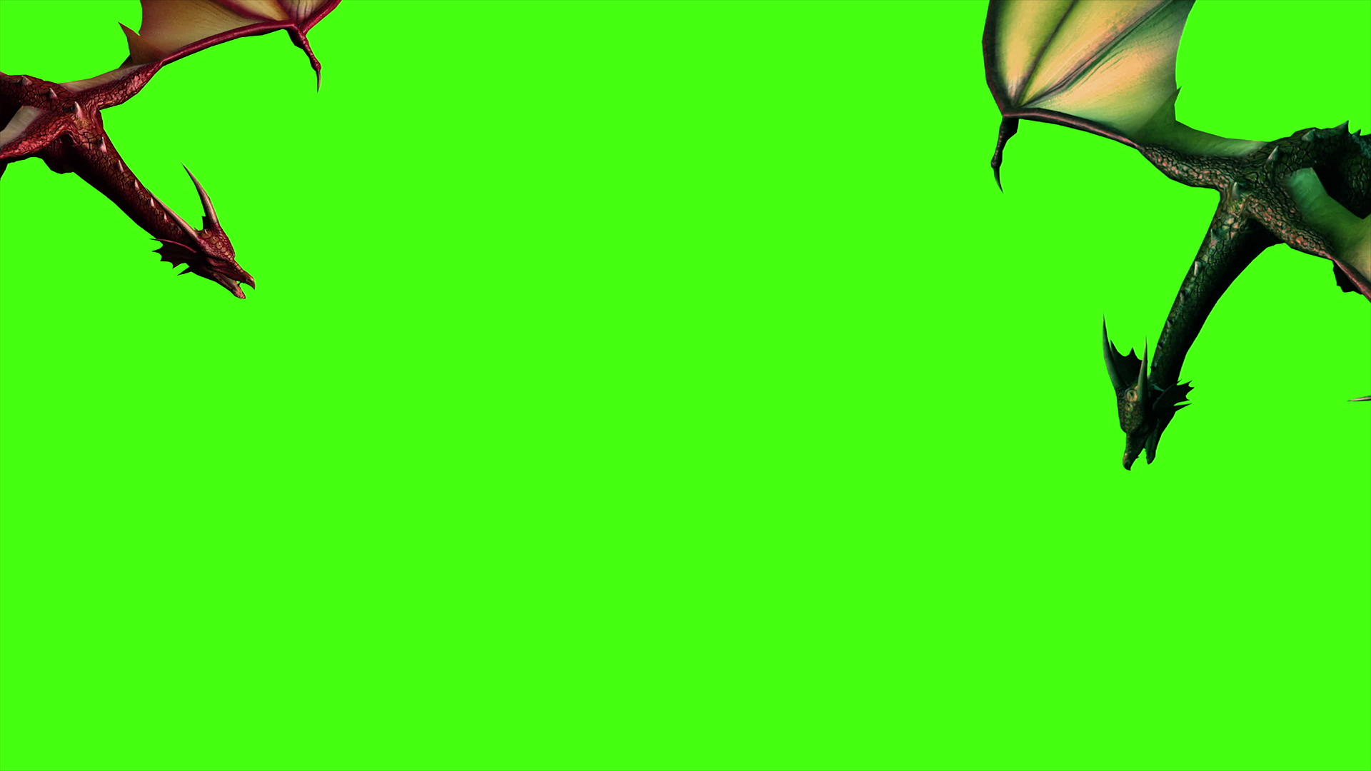 绿色屏幕上的飞龙视频的预览图