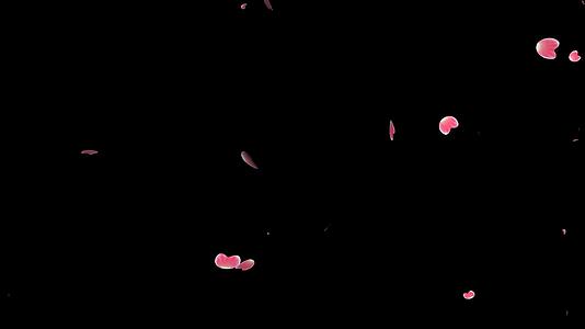 4k花瓣带通道视频的预览图