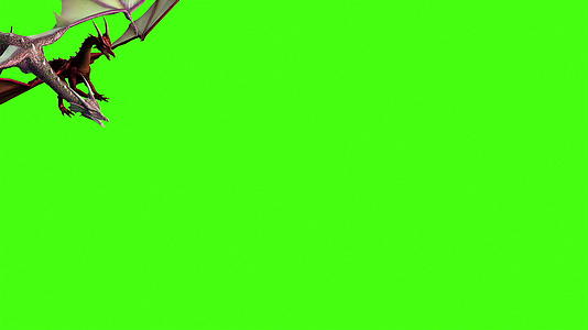绿色屏幕上的飞龙视频的预览图
