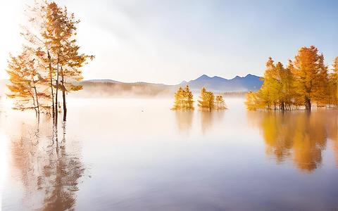 美丽的秋湖视频的预览图