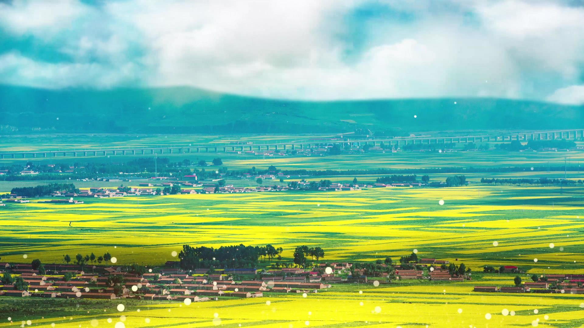 春季农田背景视频4K视频的预览图