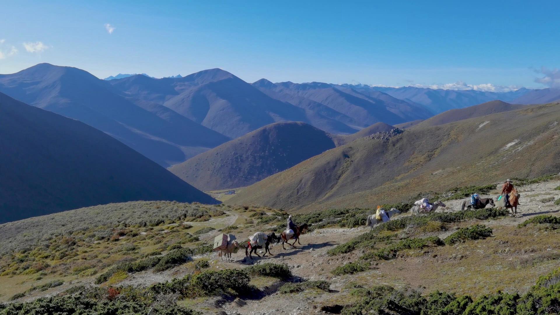 4K高海拔山区依靠马队驮运行李视频素材视频的预览图