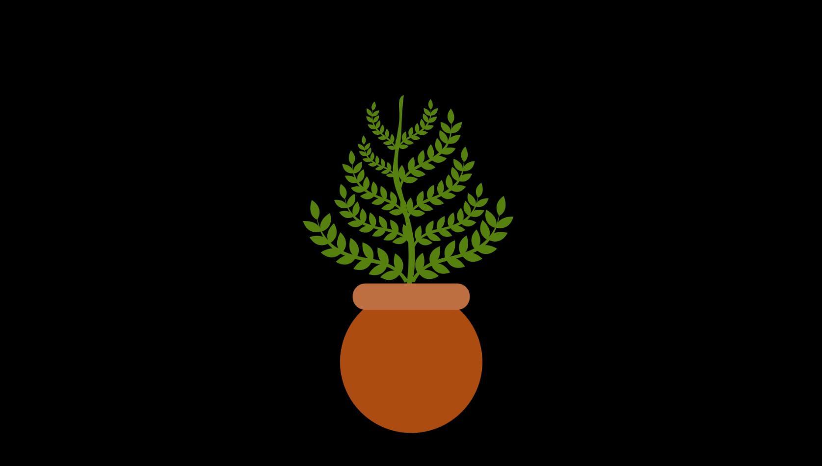 mg动态绿藤条盆栽植物生长视频素材视频的预览图