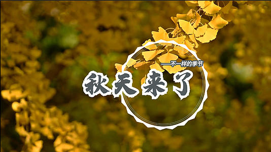 唯美秋季主题文动画展示视频的预览图