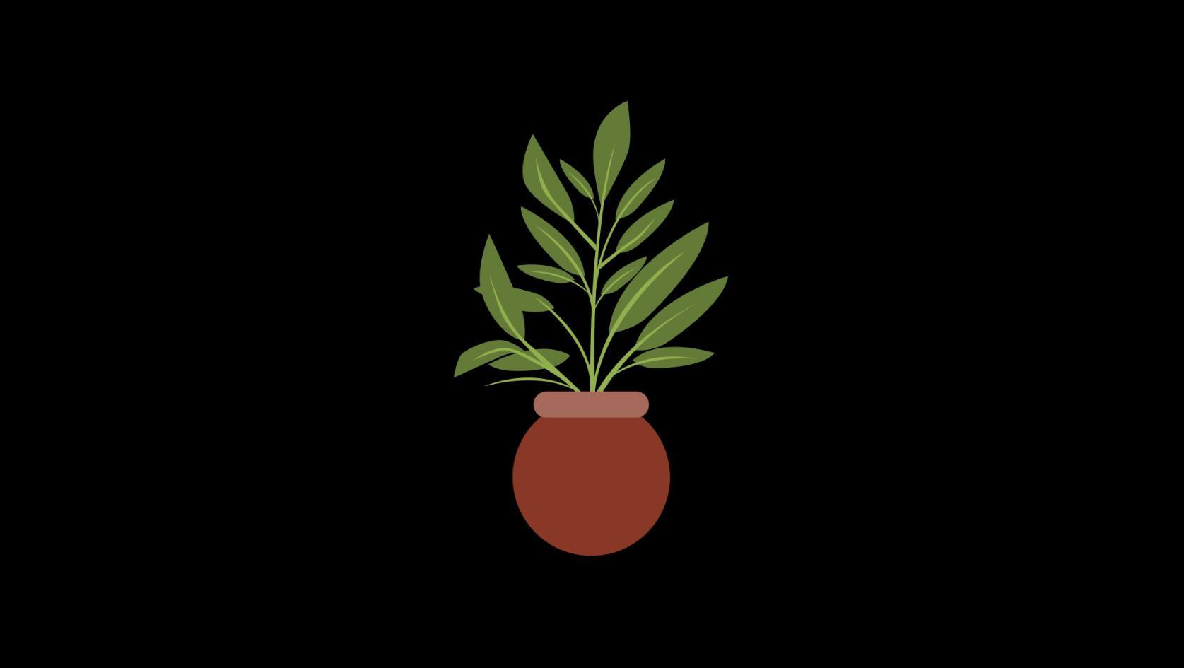 mg动态绿植圆底盆栽植物生长视频素材视频的预览图