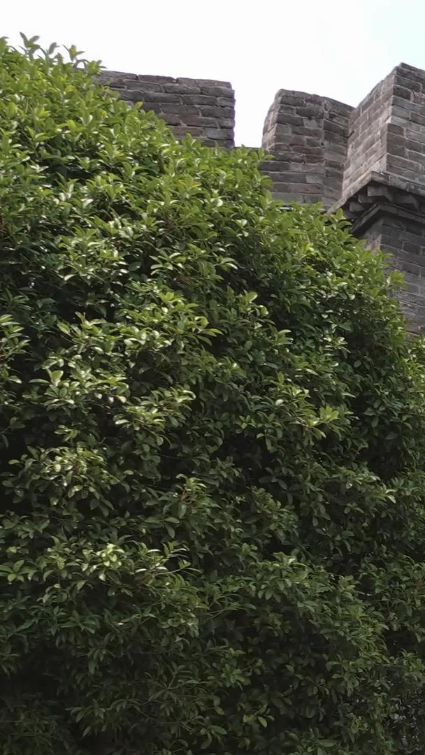5k素材延时摄影湖北荆州城墙城门旅游视频的预览图