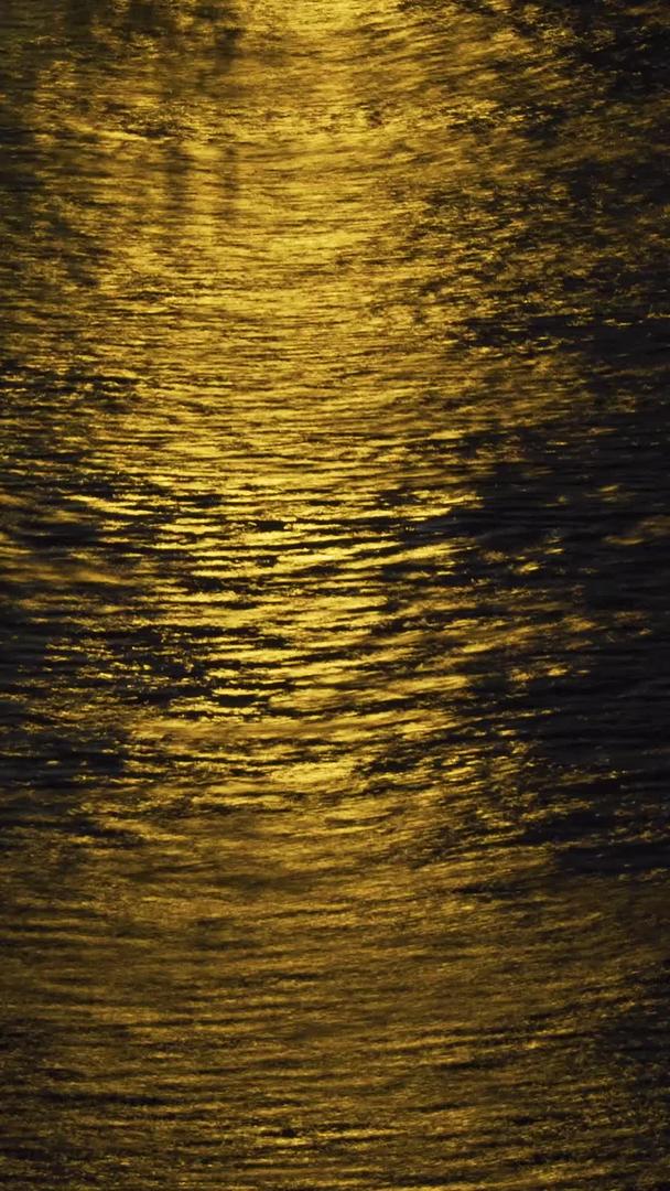 城市夜景水面湖景波光粼粼慢镜头升级拍摄素材视频的预览图