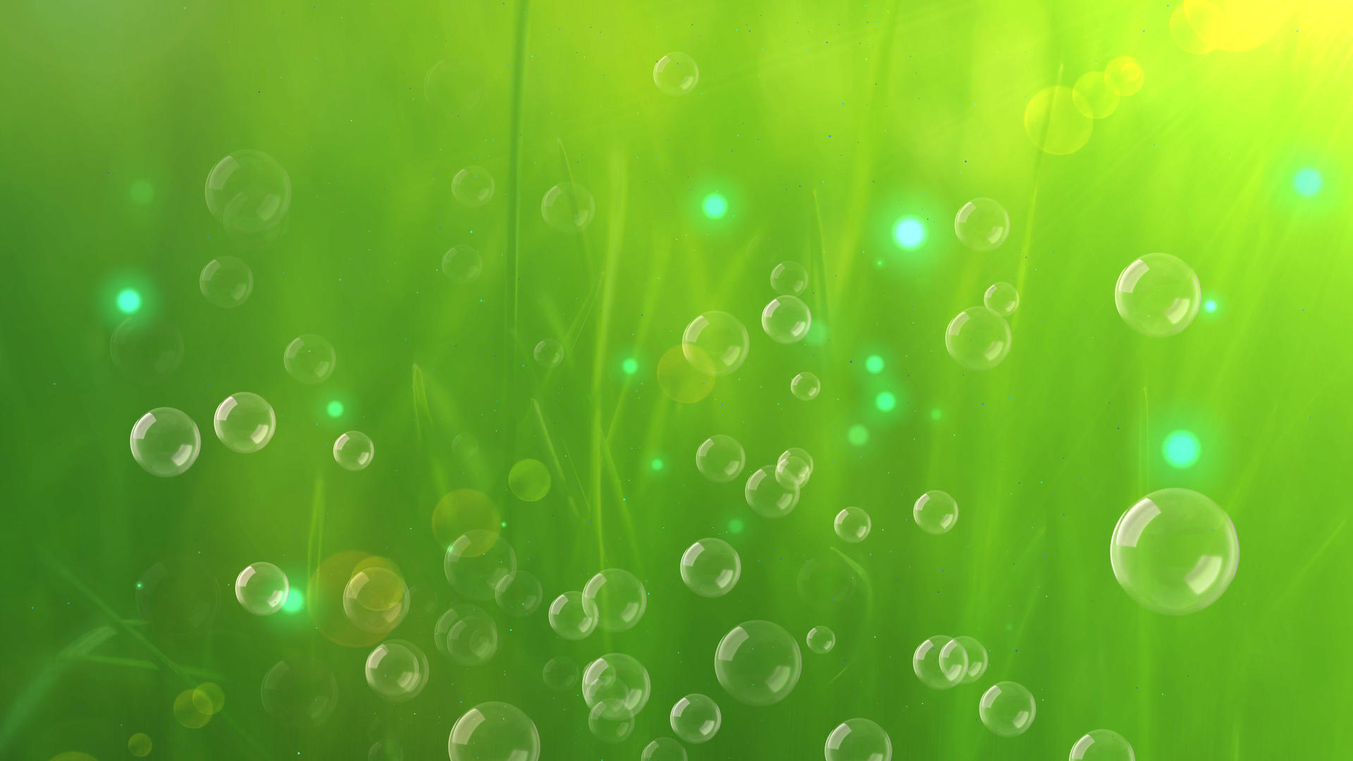 4k绿色草地清新气泡背景视频的预览图