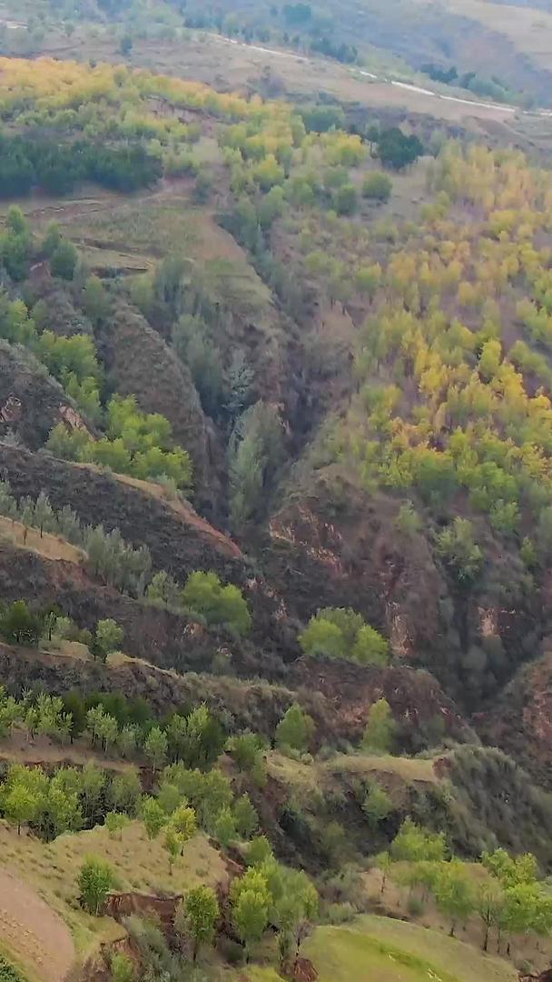 秋天的航拍山风景视频的预览图