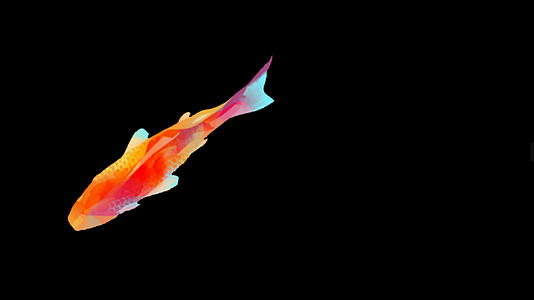 彩色锦鲤动态元素带透明度通道视频的预览图