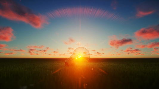 绿草上的灯泡美丽的日落视频的预览图