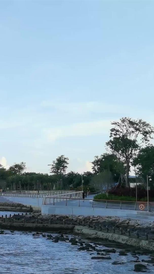 沿海长廊和深圳湾延岸的建筑视频的预览图