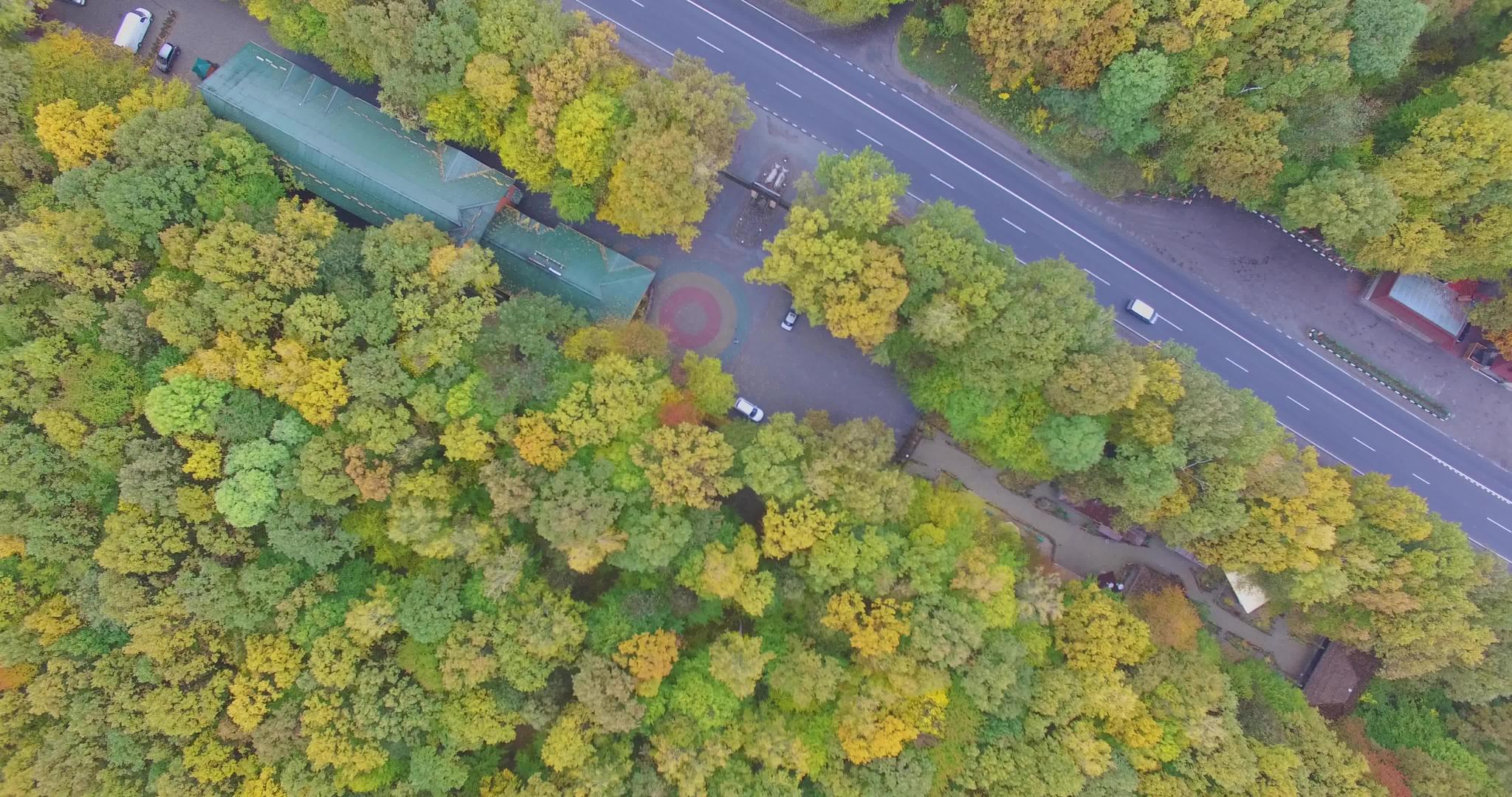 带4k路的秋林视频的预览图