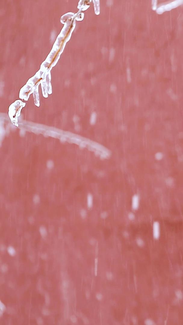 故宫红墙飘雪雪景慢动作集多角度拍摄视频的预览图