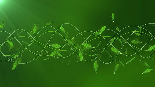 4K绿色树叶飞舞粒子线背景视频的预览图