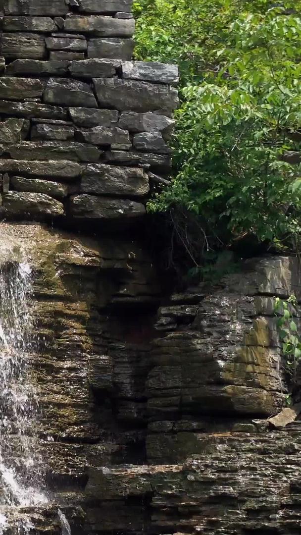 夏天山中瀑布视频视频的预览图