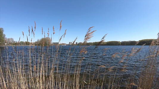 欣赏湖边美景慢慢运动视频的预览图