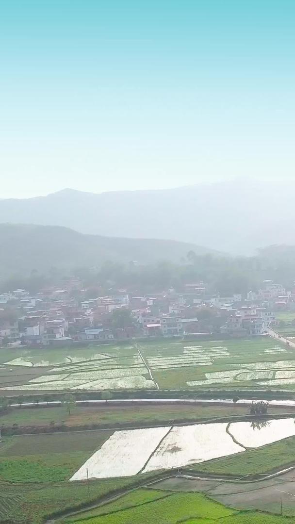 水稻在田园夕阳下波光粼粼视频的预览图