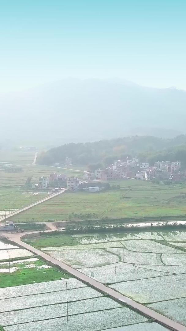 水稻在田园夕阳下波光粼粼视频的预览图