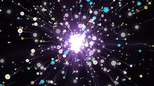 动态光效粒子花朵放射动态视频元素视频的预览图