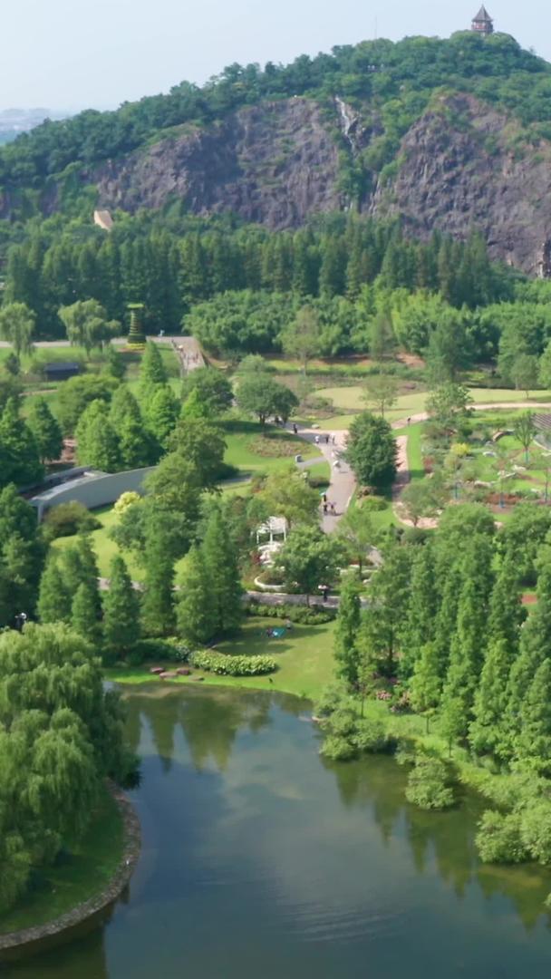 辰山植物园夏季植物茂密视频的预览图