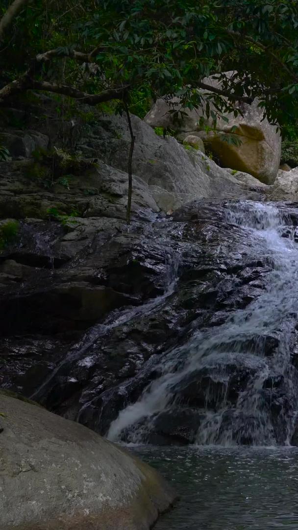 森林中的瀑布含有声音收集视频的预览图
