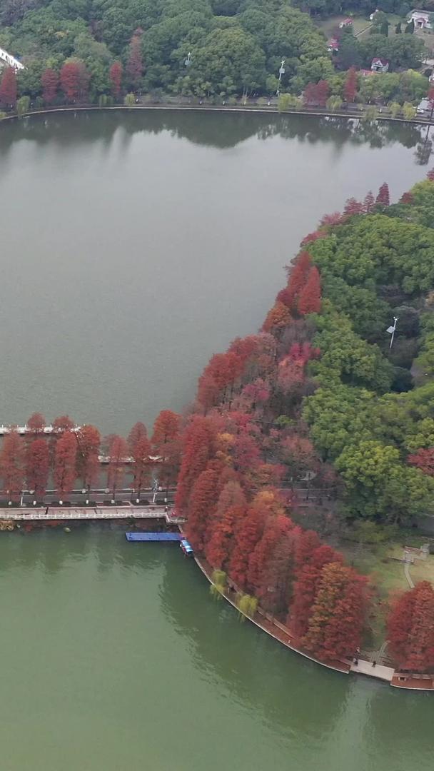 武汉东湖碧潭观鱼景区航拍视频视频的预览图