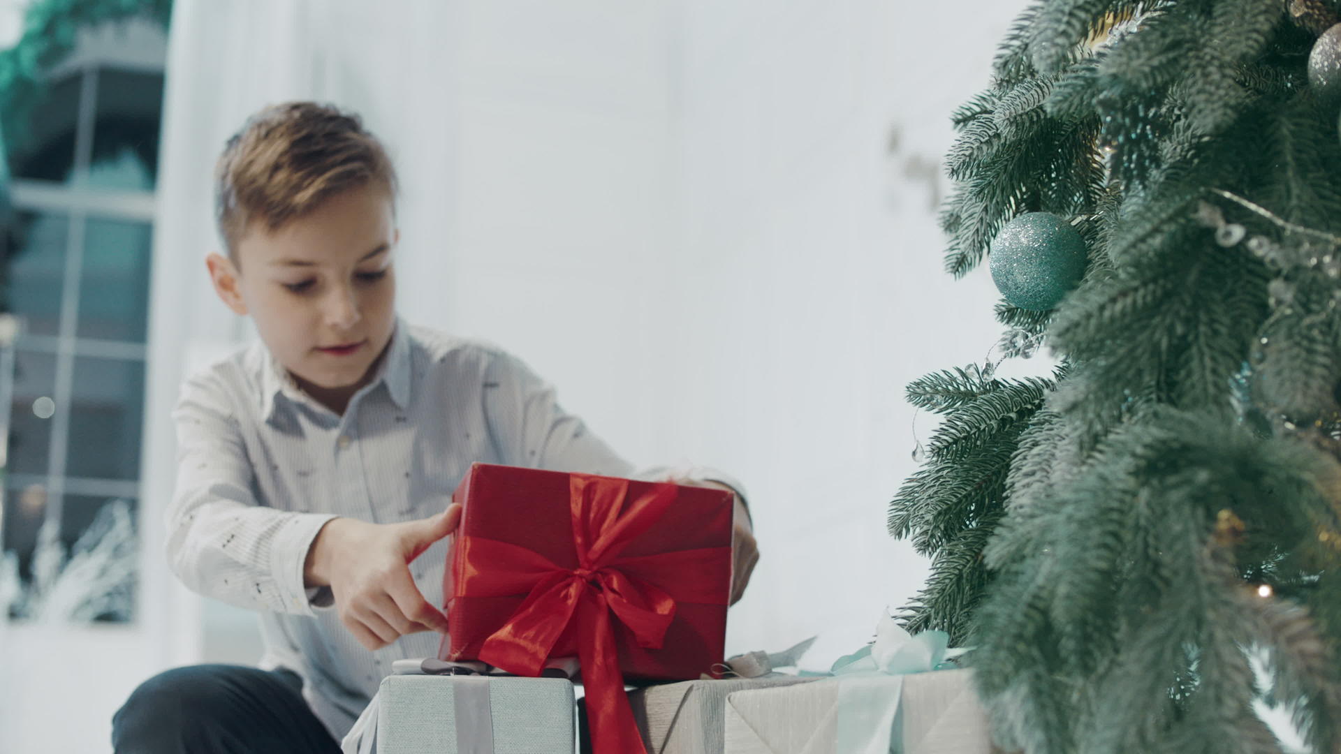 男孩把礼物放在圣诞树下视频的预览图