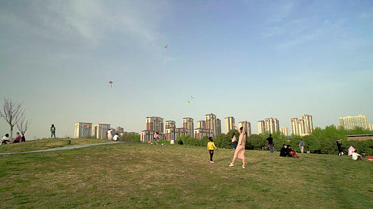 公园放风筝慢动作视频的预览图