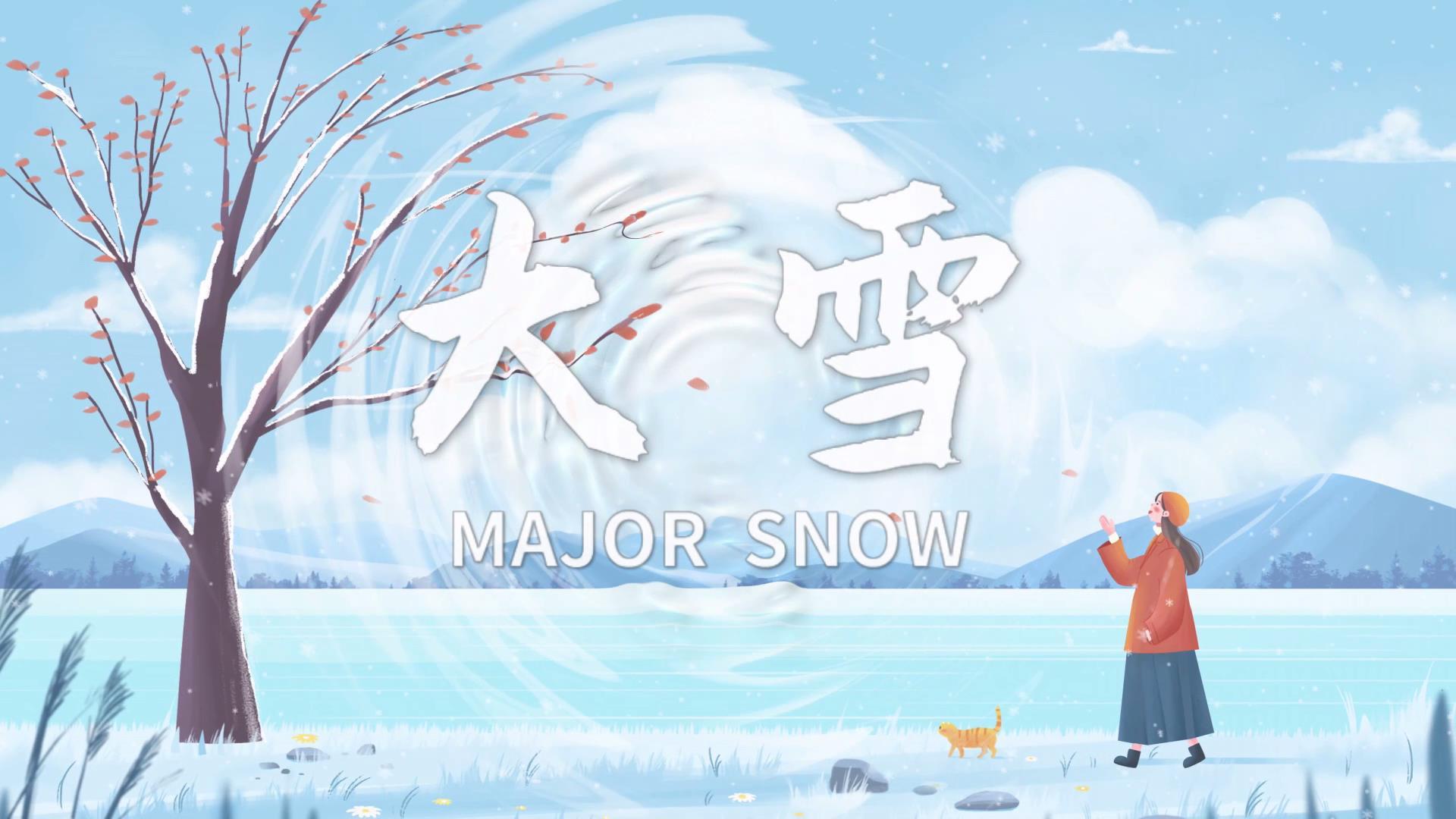 唯美中国风大雪节气片头会声会影模板视频的预览图