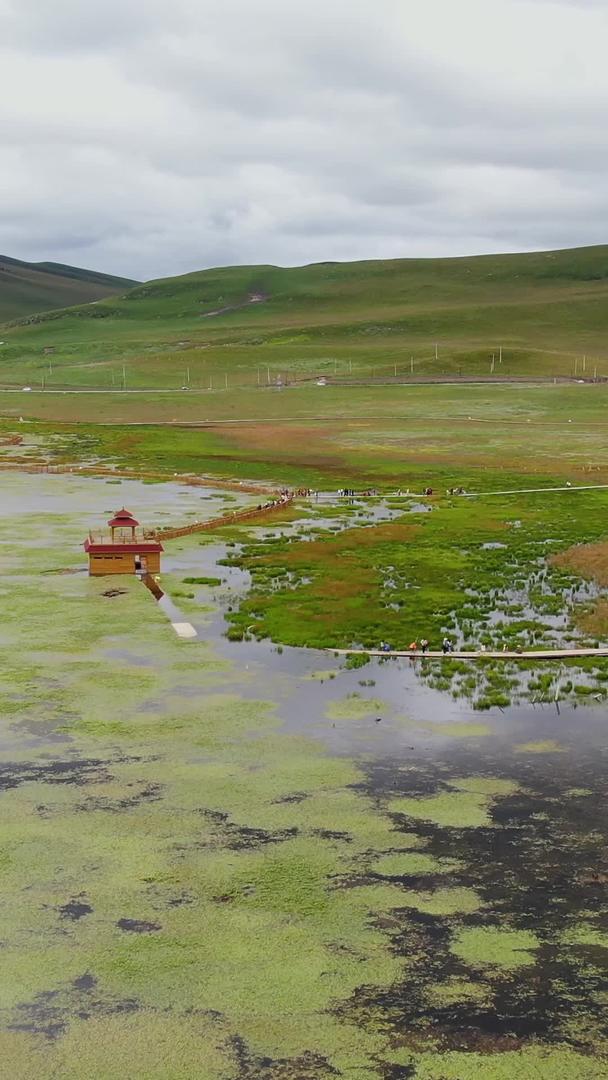 甘南藏族自治州碌曲县草原湿地公园航拍视频视频的预览图