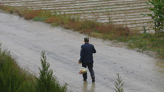 农村农民道路田地行走孤独下雨视频的预览图