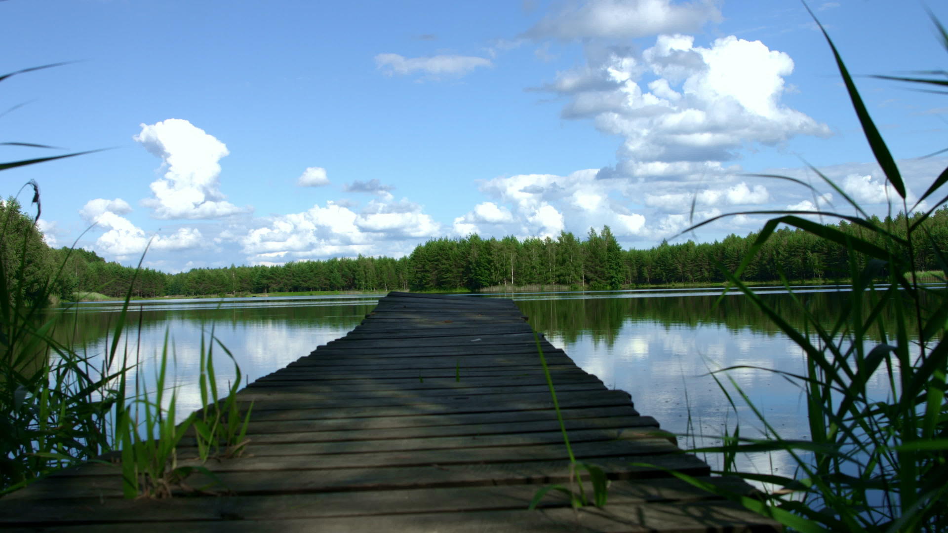 森林湖和木平台进入湖视频的预览图