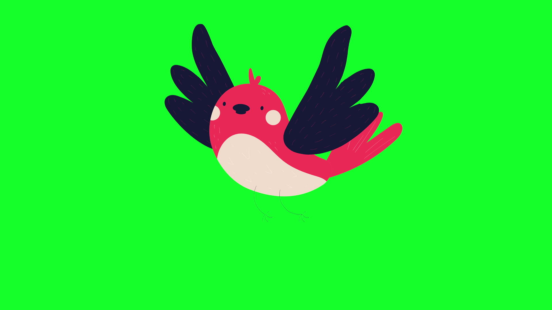 鸟儿在绿色屏幕上飞翔并使用卡通风格视频的预览图