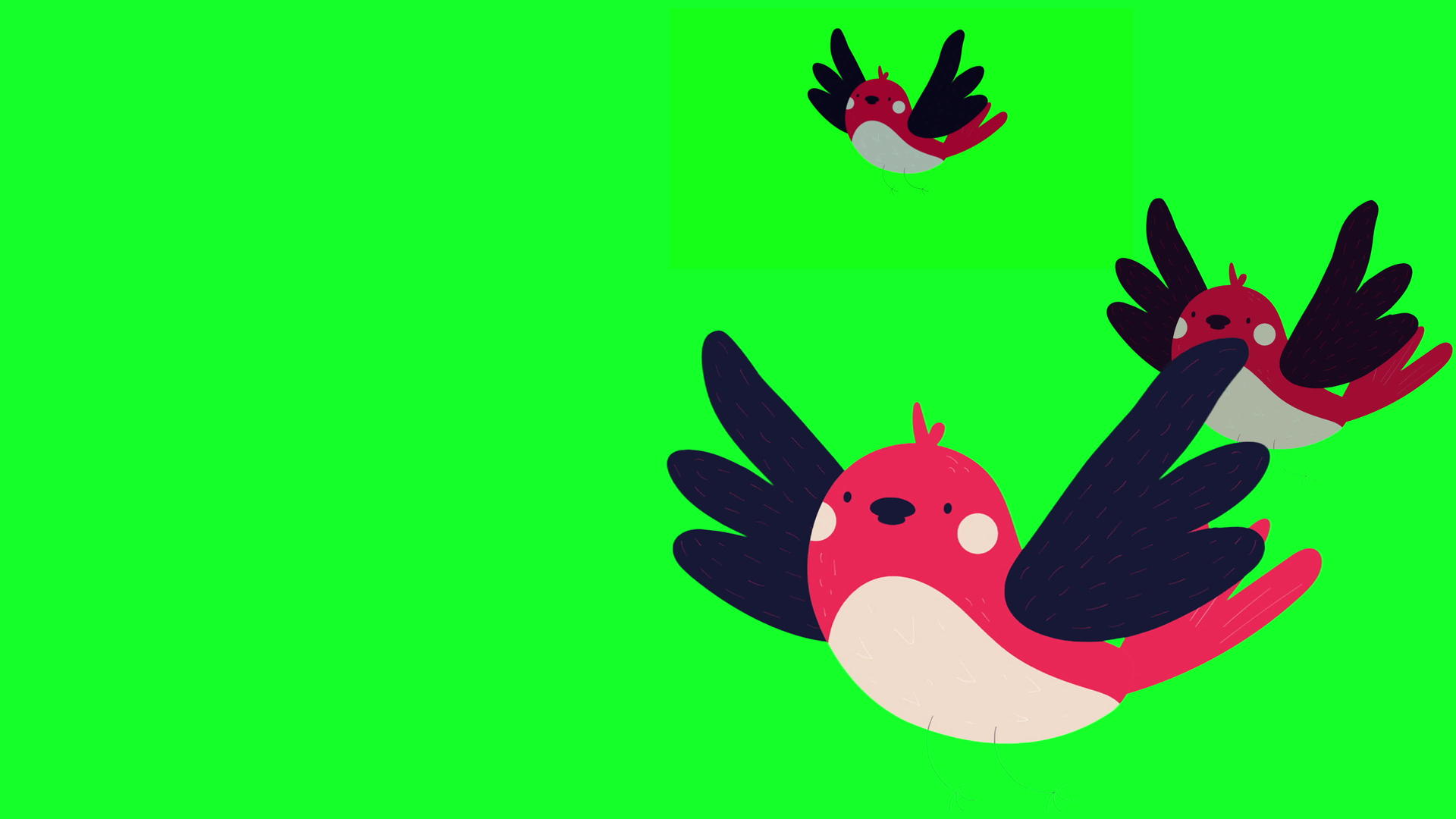 绿色屏幕上的鸟有卡通风格视频的预览图