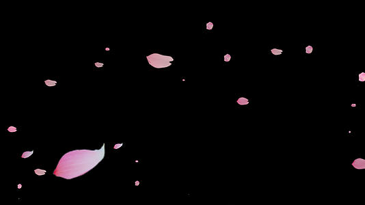 桃花飘落元素带透明通道视频的预览图