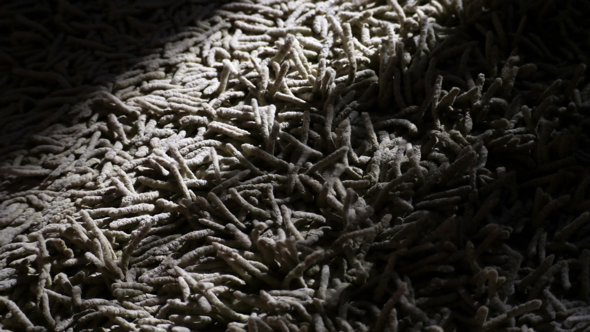 毛毯纤维视频的预览图