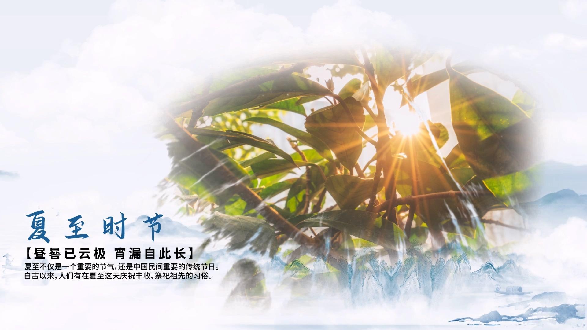 夏至国风水墨图文展示PR模板视频的预览图