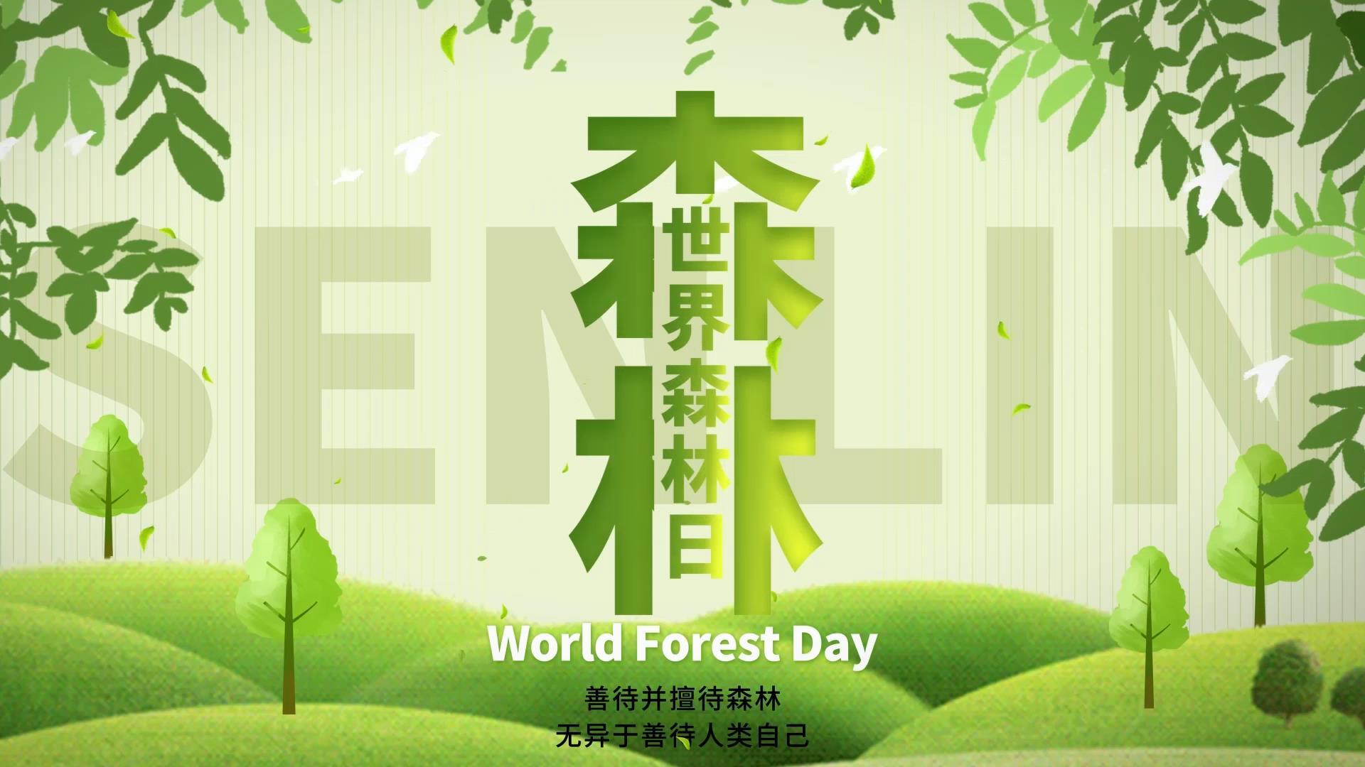 绿色清新世界森林日片头AE模板视频的预览图