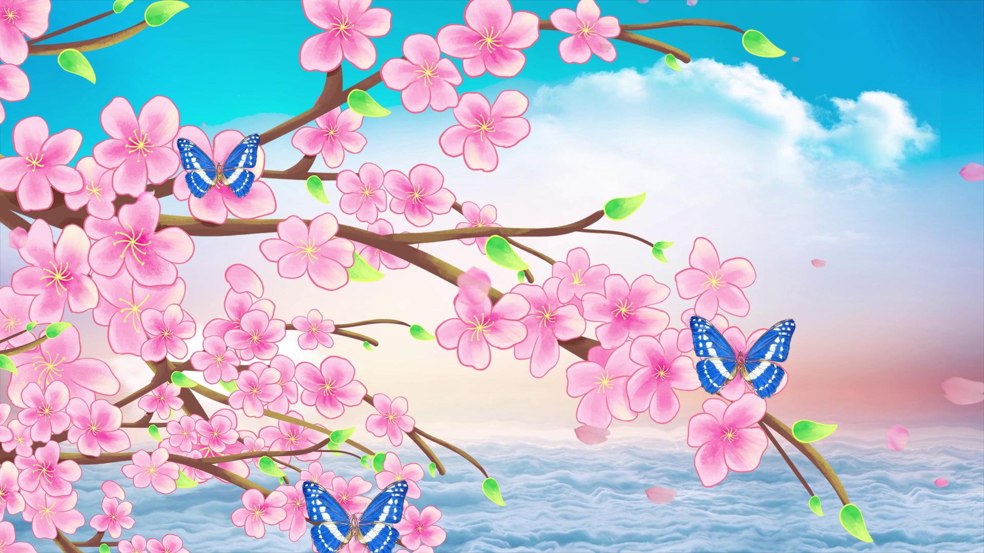 4K唯美春天樱花蝴蝶采蜜背景视频视频的预览图