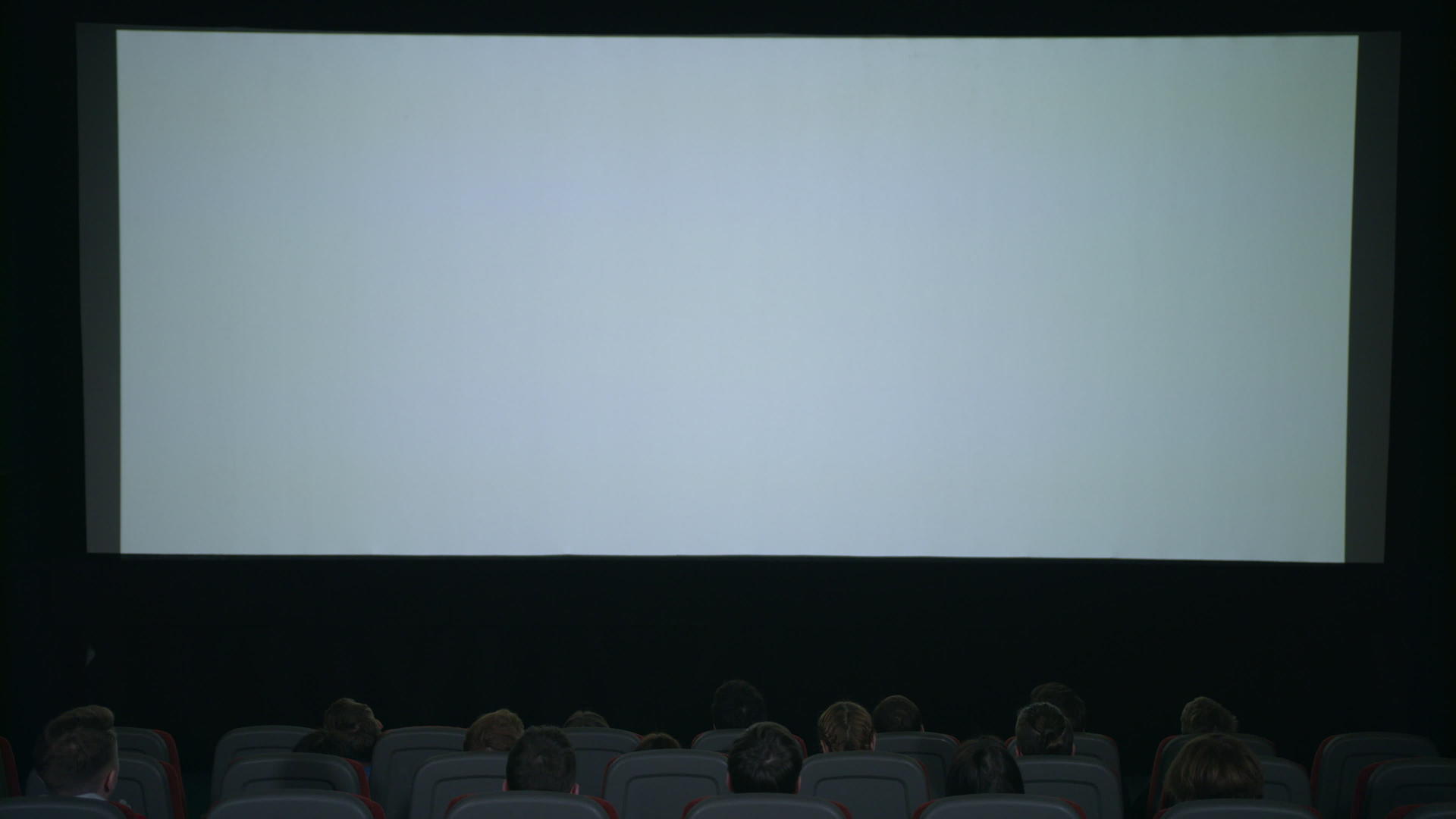 电影中的大白屏幕视频的预览图