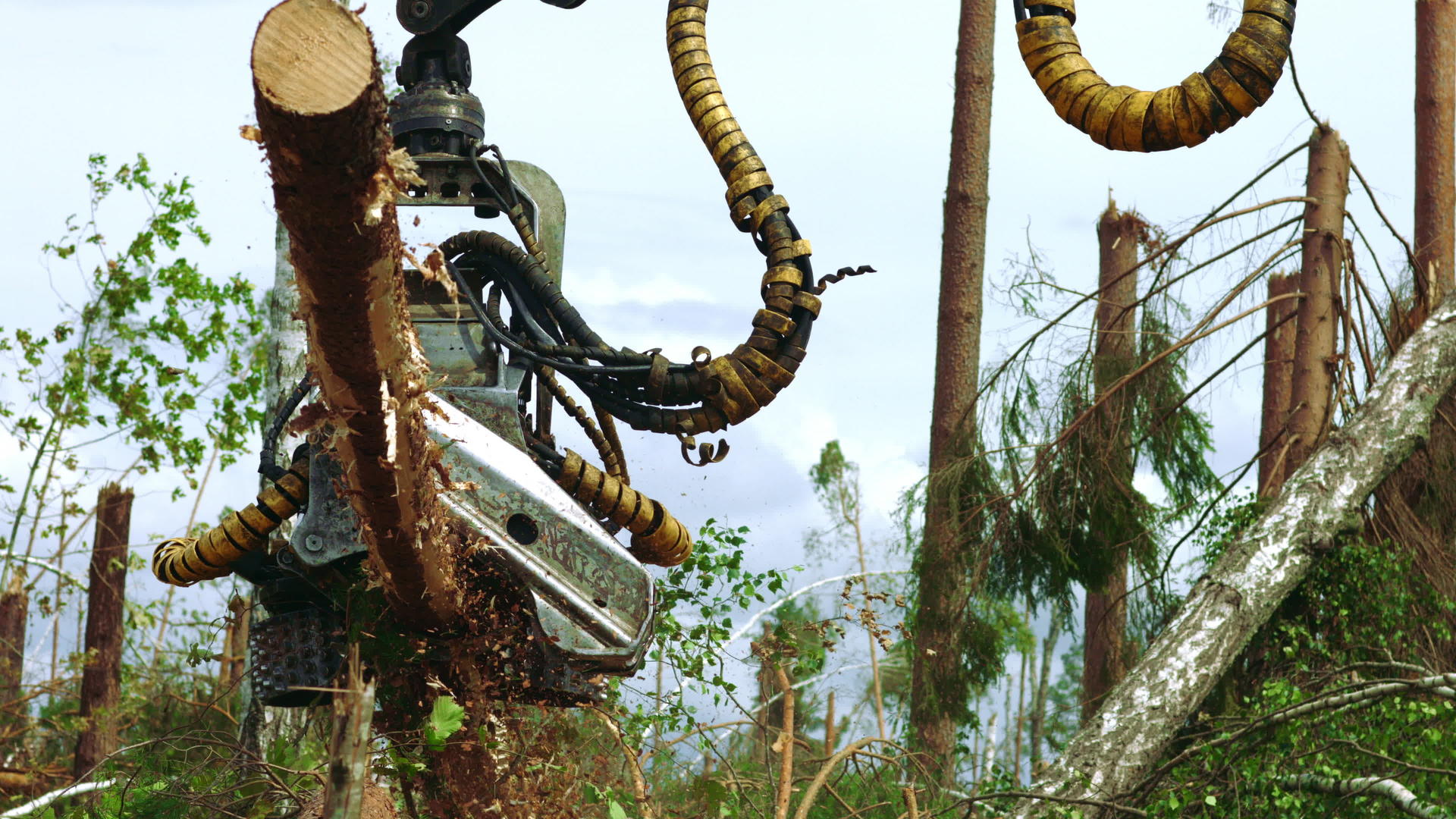 在森林中使用机器人臂和锯木视频的预览图