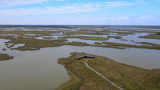 丹顶鹤湿地生态旅游区4A景区视频的预览图