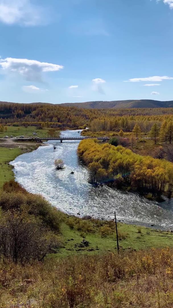 内蒙古阿尔山秋色实拍竖版视频视频的预览图