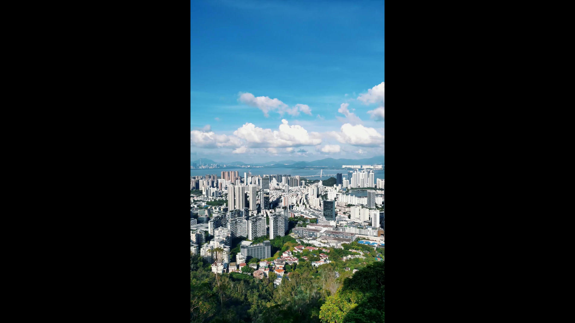 4K沿海城市楼群建筑风景延时竖屏视频的预览图