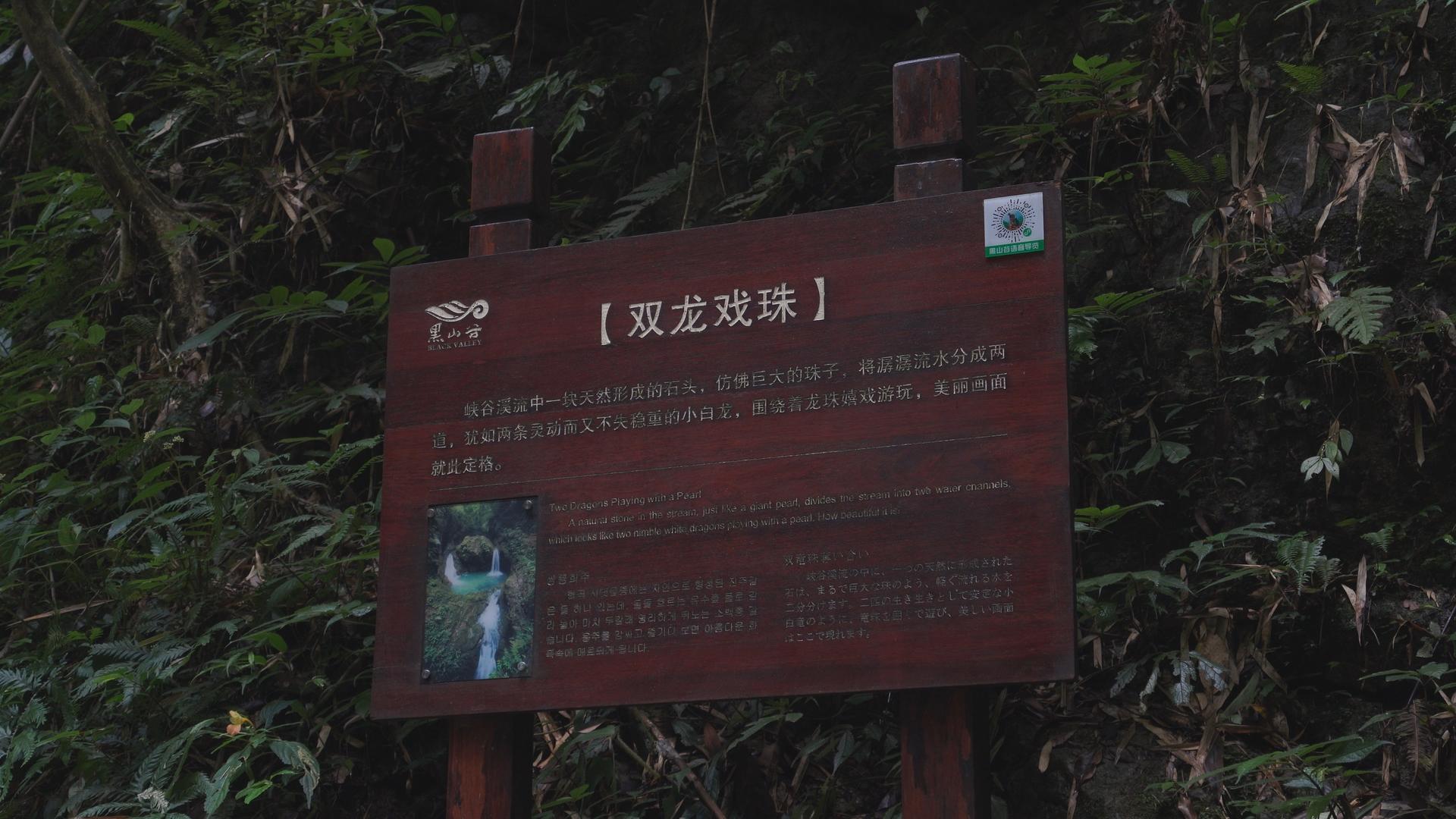 国家5A级旅游景区重庆黑山谷特色景点双龙戏珠视频的预览图